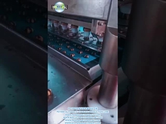 PD1000 LINHA DE PRODUÇÃO DE BISCOITES DOUX COLORES totalmente automática